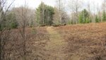 IMG_1406.jpg
