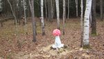 IMG_1402.jpg