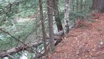 IMG_1398.jpg