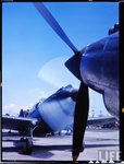 50e3347e3fd000f8_large.jpg