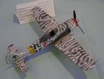 6_Fw190F-8_5131.JPG