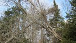IMG_1409.jpg