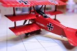 IMG_0052R.jpg