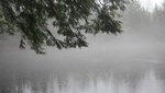 IMG_1441.jpg