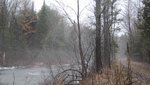 IMG_1445.jpg