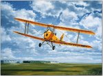 tiger-moth--wind-beneath-my-wings_colin-parker.jpg