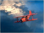 STAGGERWING_550.jpg