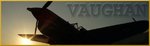 vaugh008d copy.jpg