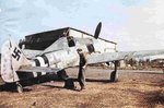 o-1081963345-n8p4_bc__141.jpg
