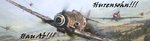 zsig_me-109_p-47s_577.jpg