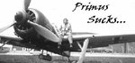 zsig_fw-190_21cm.jpg