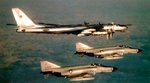 f42bear.jpg