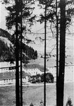 p1100-25.jpg