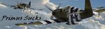 zsig_p-51b_134.jpg