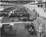 fordb-24plant.gif