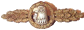 lw-op-recon.gif