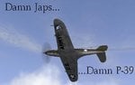 damn_p-39....jpg