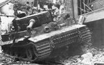 tiger_20_189.jpg