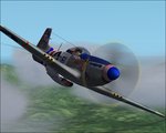 jjgs_p-51_normal__003__154.jpg