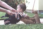 dogshelpboy_101.jpg