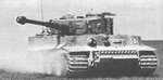 tiger_713.jpg