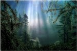magicinthwood4sr_205.jpg