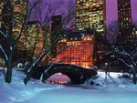 central_park_in_winter__new_york_city2_141.jpg