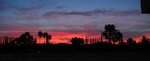 sunrise_629.jpg