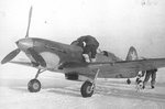 yak7w_162.jpg