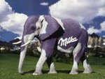milka-elephant01_339.jpg