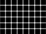 blackdots20gx_802.jpg