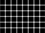 blackdots20gx_802.jpg