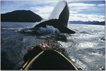 album_large_33_47517.jpg