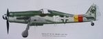 Fw190D-9_White 12.jpg
