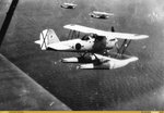 avc_00288593.jpg