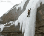 NY_21rlomi8o1_500.gif