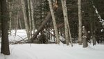 IMG_1655.jpg
