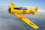SNJ1.jpg