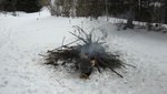 IMG_1667.jpg
