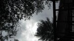 IMG_1670.jpg