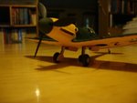 DSC07655.jpg