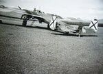 Dornier Do-17 Bacalao 0042.jpg