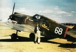 Curtiss P-40 Flying Tigers 0015.jpg