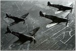 58_g8STei1s6wip4o1_1280.jpg