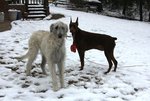 IMG_0114r.jpg