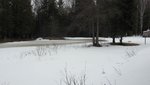 IMG_1733.jpg