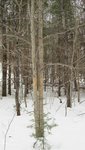 IMG_1731.jpg