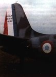 DB-7 (2).jpg