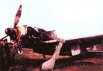Fw 190F.5.jpg
