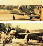 Fw 190F.7.jpg